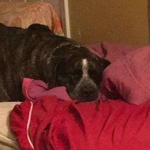 Meet your Posher, Lorie